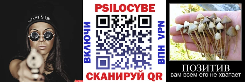 Галлюциногенные грибы Cubensis  наркотики  Обоянь 